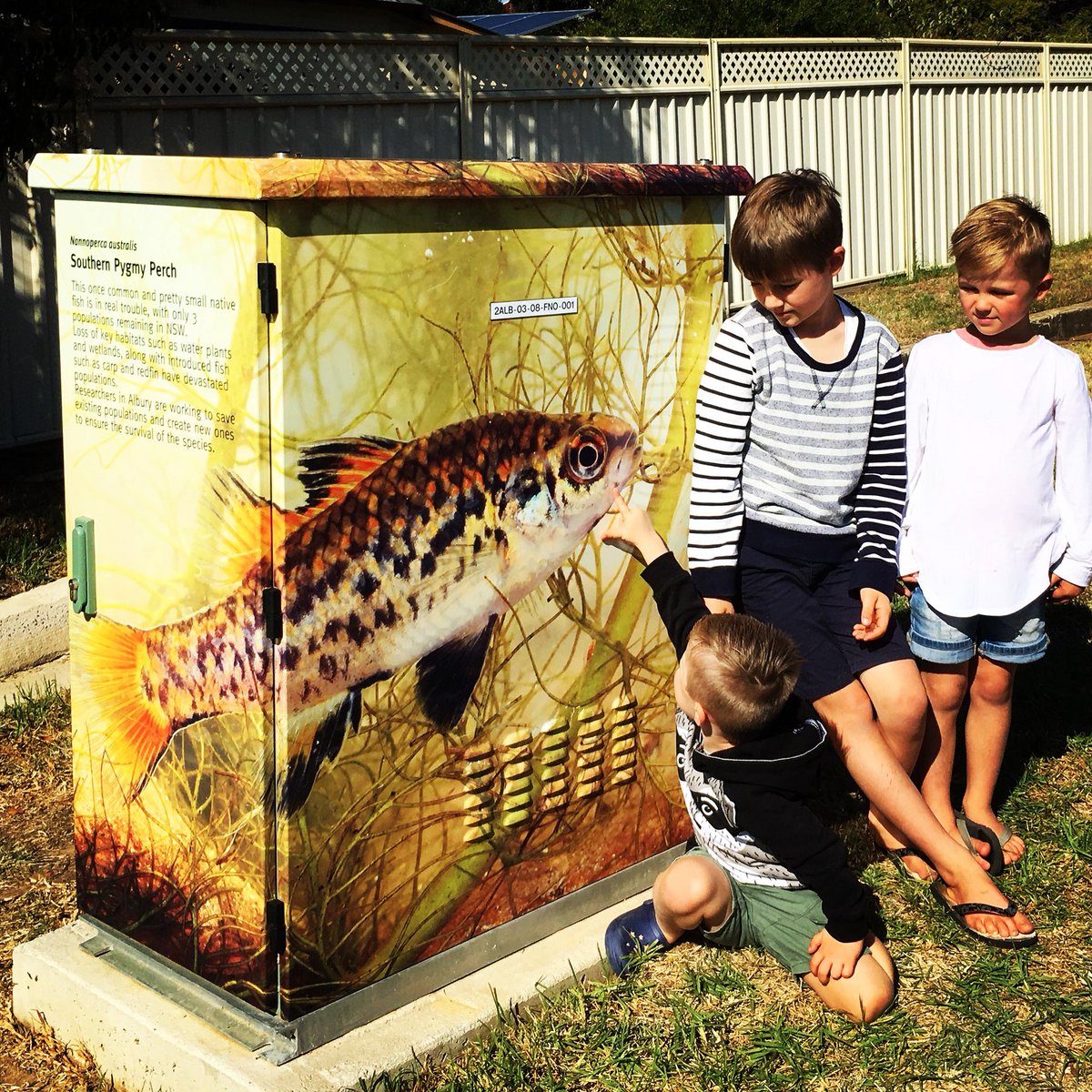 Boys are pretty happy with our new NBN box, from boring green and graffiti to educational art
