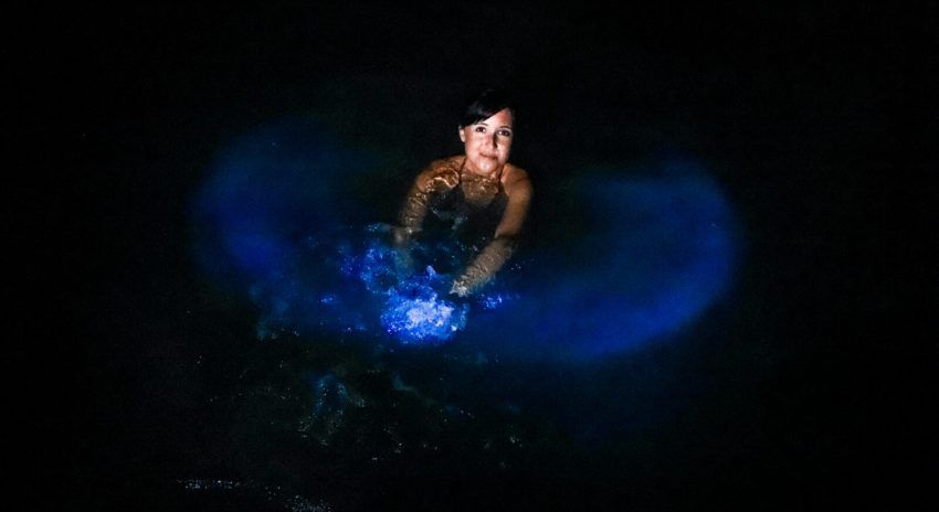 awesomejourneys's tweet photo. Swimming with #glowing #plankton in the #luminous #lagoon in #falmouth ( #jamaika ) was a really breathtaking experience!

Read the whole story at: https://t.co/YePsB7QSfb https://t.co/l3FSbZLFdm