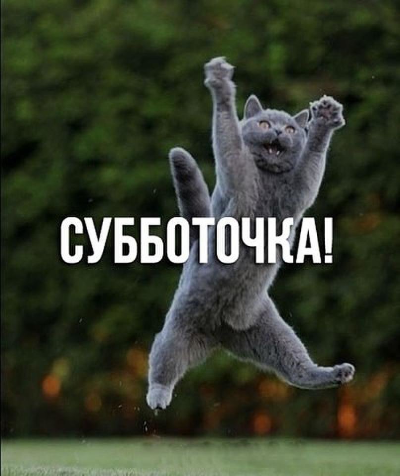 Прикольные картинки с суббота