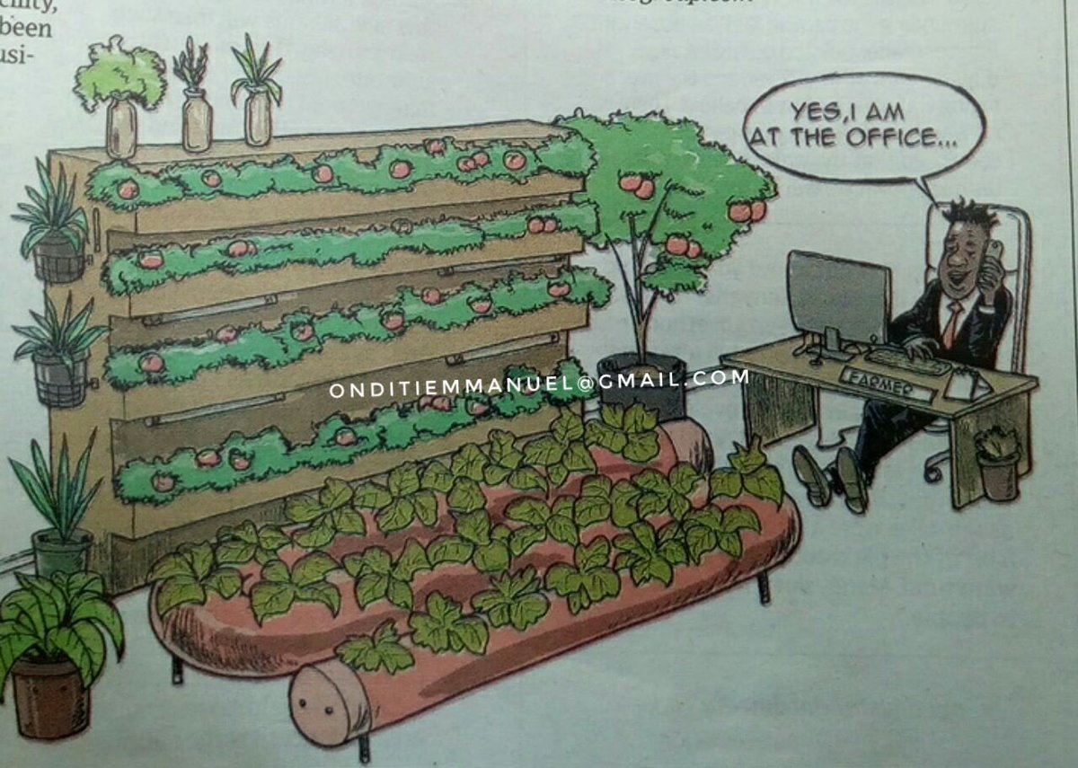 e_onditi's tweet photo. Me &amp;Agriculture 
Mounting youth unemployment,ageing farmers and declining crop yields under traditional farming systems calls for prioritising engagement of youth in agriculture. 
@UsomiAgro @rodgers_kirwa @EOriedo https://t.co/526amUaHaa