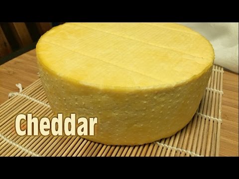 Hard Cheese! you bet from <a href="/Gouldscheddar/">Gould's Cheddar</a> traditionally handmade on their farm in #Somerset at #abingdon F&amp;DF JunePlain or flavoured madam?