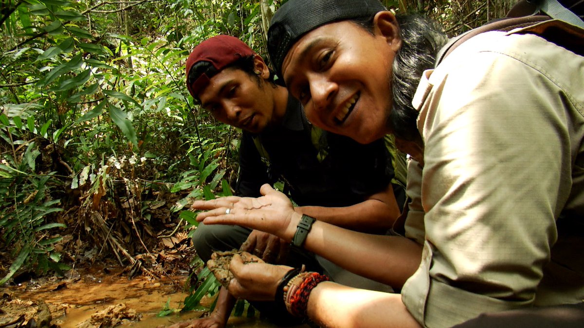 Rimba_MNCTV's tweet photo. .@kakresha tertarik mencari satwa dan beberapa tumbuhan di wilayah Perbukitan Sekupang. Ikuti jejak Kak Resha di #JejakRimbaMNCTV Minggu (29/4) pukul 04.45 WIB hanya di @Official_MNCTV https://t.co/OtM1EcYBIq