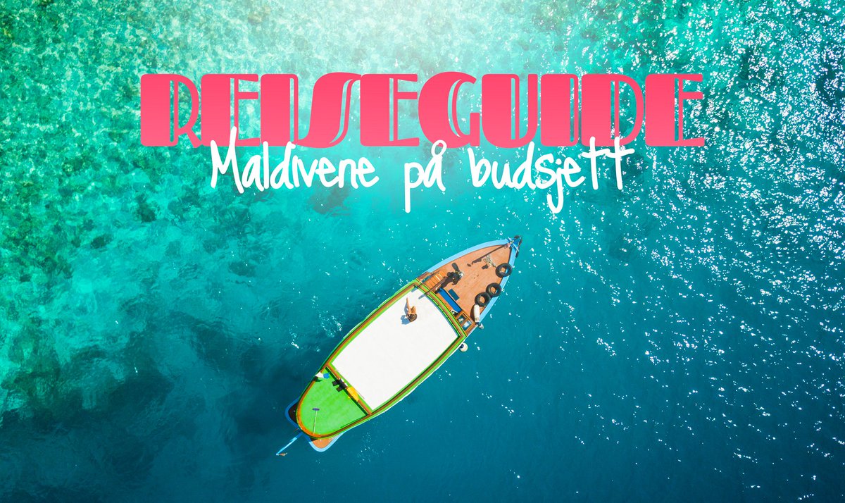 Hamacareise's tweet photo. Maldivene på budsjett? Ja, det er mulig! Sjekk min omfattende reiseguide her: https://t.co/43EucUOWzc #maldivene #reiseblogg #budsjettreise #reiseguide https://t.co/vUf86TsCJs