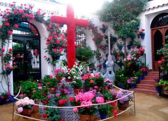 CórdobaEnamora tweet media