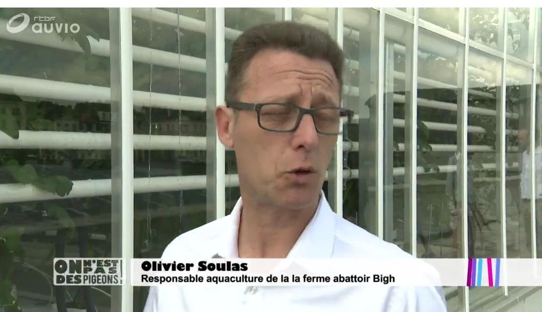 NicolasViard's tweet photo. La ferme abattoir d'Anderlecht, une agriculture du futur : 2000m2, 15t/an 🍅, 2700 pots/🌿, 35t/an 🐠 !
https://t.co/jJegseEW3y
#urbanfarming #rooffarming #aquaponie #aquaponics #futureofagriculture #agriculturefufutur https://t.co/xyiHbnPy94
