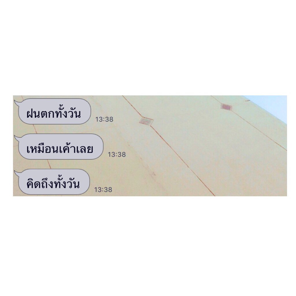 ˚˚ ༘♡🌷 babymoon 🐶🌻🍒✧︎.* tweet media