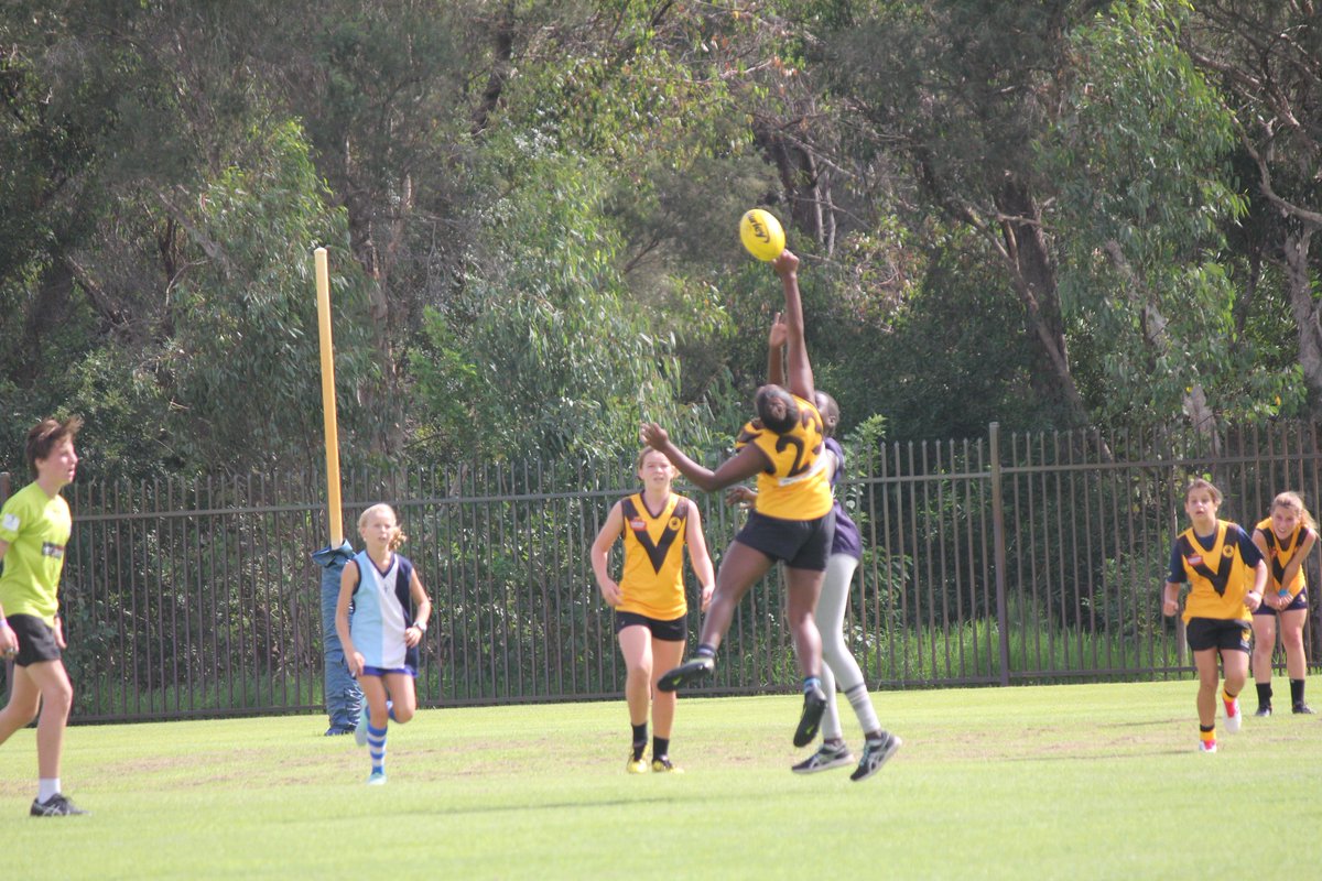 ercyouthleaders's tweet photo. Congrats to @ButlerFalcons stars Aker, Daruka, Nicki, Andiya and Brenda for making the next round of @WA16sGirlsAFL - inspirational effort and good luck for the next round. Falcons had reps in State Team in last 2 years - @TrueSportWA @dsrwa @afldiversity @WAFCdiversity https://t.co/eQRSC4AsLu