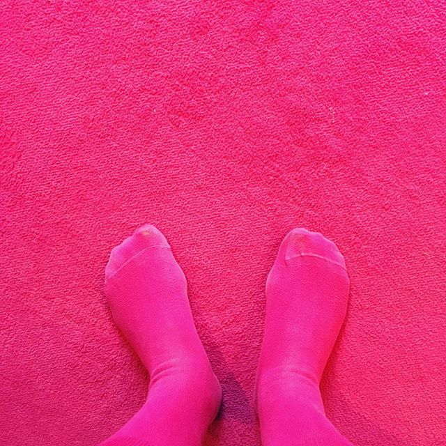 graemepark's tweet photo. Took me ages to find my socks in my @pelirocco hotel room this morning #peliroompics #Brighton https://t.co/f0hBQuvd8x https://t.co/PenmrFZmBV