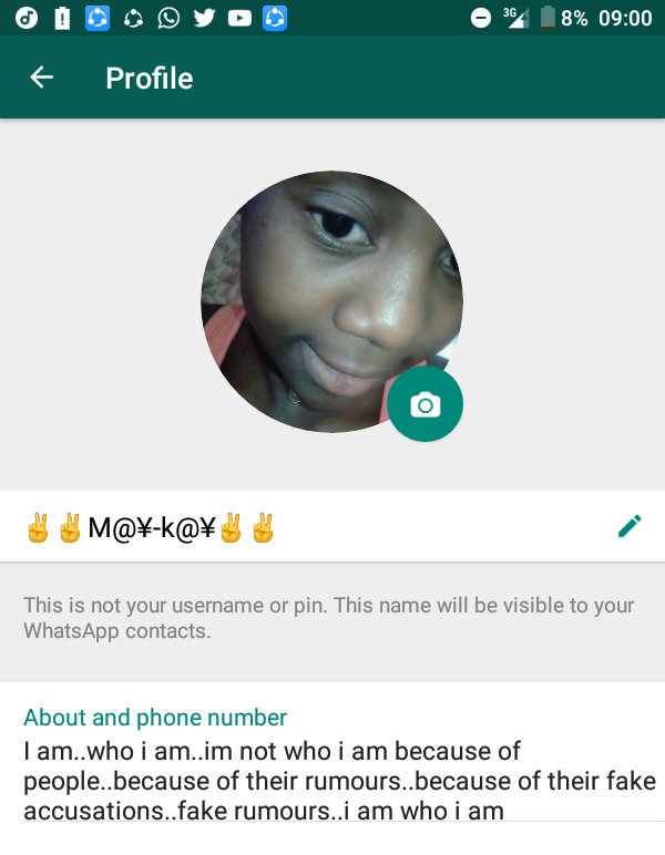 The picture says it all....😺😺😺