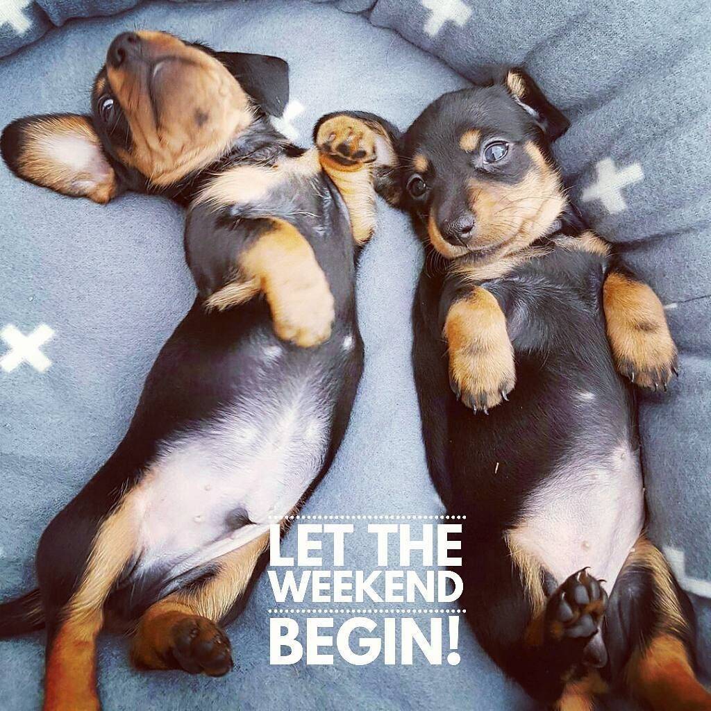 mumsdelight's tweet photo. Have a fabulous weekend everyone. Hopefully it will involve a spot of relaxing... https://t.co/jF6RaVrvWs