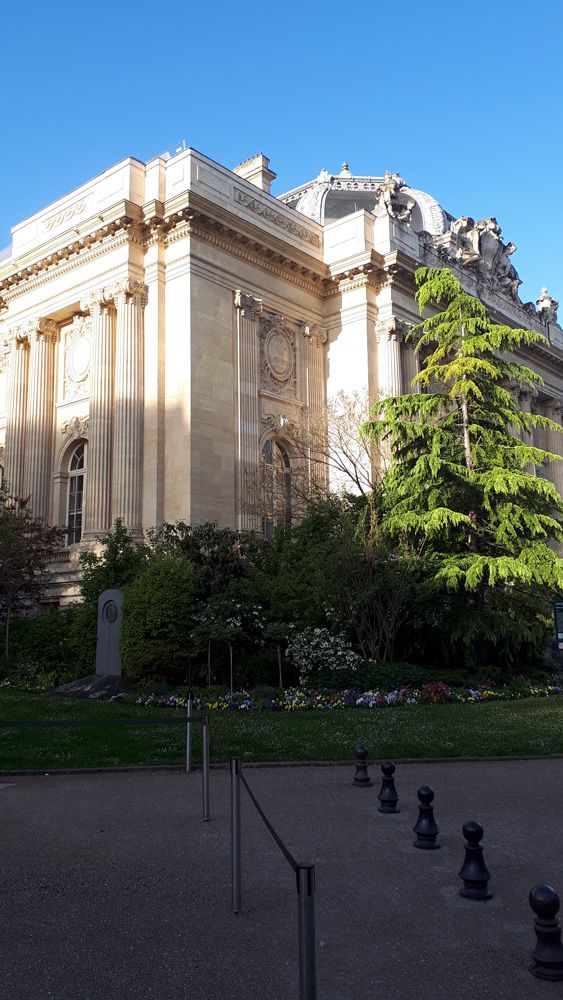 palaisdecouvert's tweet photo. Arriver au @Palaisdecouvert le matin de bonne heure, par le Nord ou par le Sud, c'est passer devant les parcs et jardins de @Paris @Mairie8Paris...
#NatureMW
#Museumweek18 https://t.co/vtuc9INySg