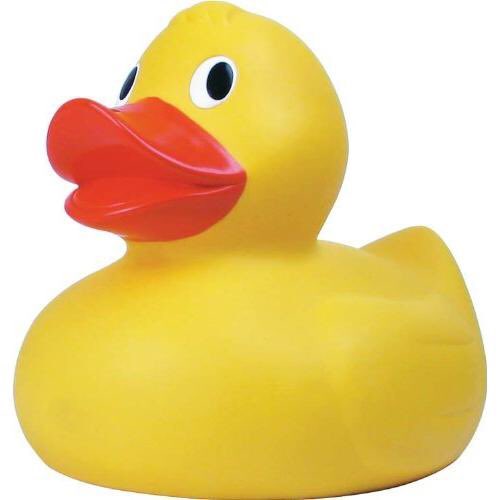 theriversidehub's tweet photo. Nice weather for ducks. #ilovehub https://t.co/pWvfwLNHGV