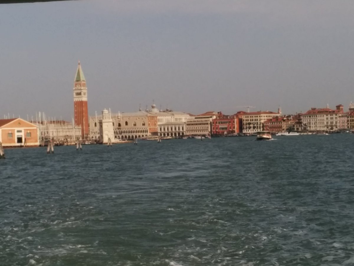 rfocardi's tweet photo. On our way to #sanservolo for tha #dragonboat challenge #cafoscari150 @CaFoscari https://t.co/xa6MT2q5WY