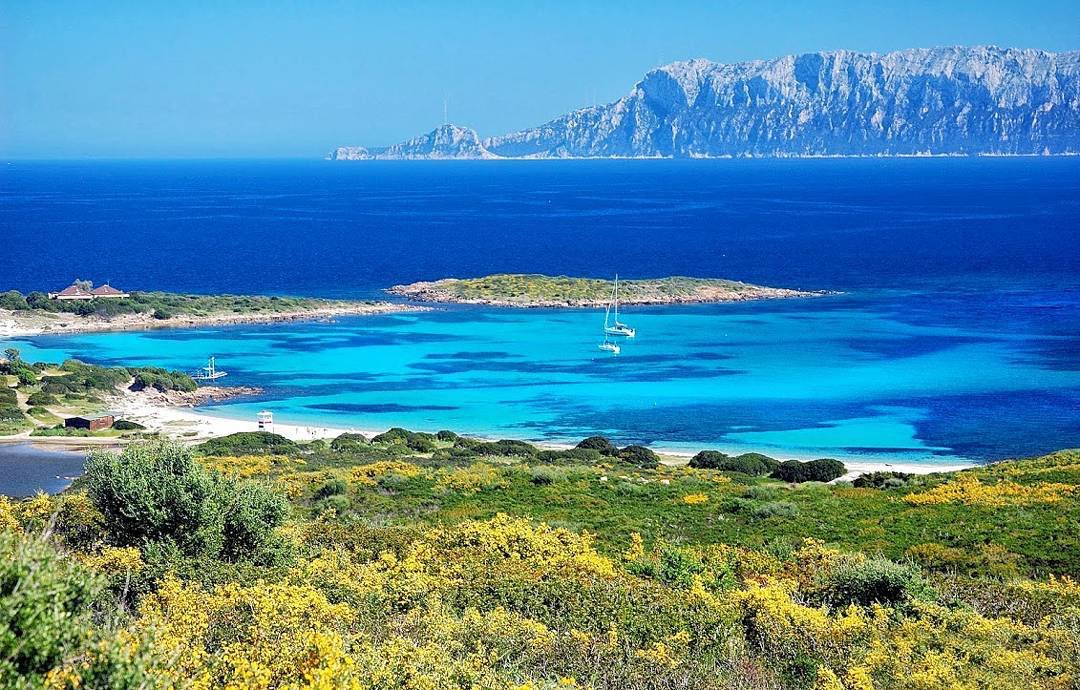 KeepSardinia's tweet photo. Morning view over the beach of Nodu Pianu - thank you @LPuddori for this wonderful shot https://t.co/EnAfeTI16t
