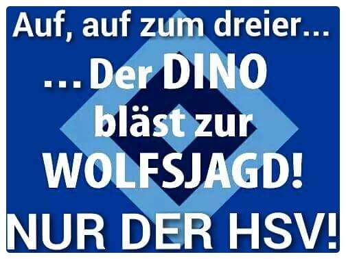 aking1887's tweet photo. #team #allegemeinsam #fokus #nichtabstieg #auswärtssieg #nurderhsv #gegendenabstieg #einteam #einziel #nurderHSV #aufgehts #hamburg #kämpfenundsiegen https://t.co/Bti4J0PPYD