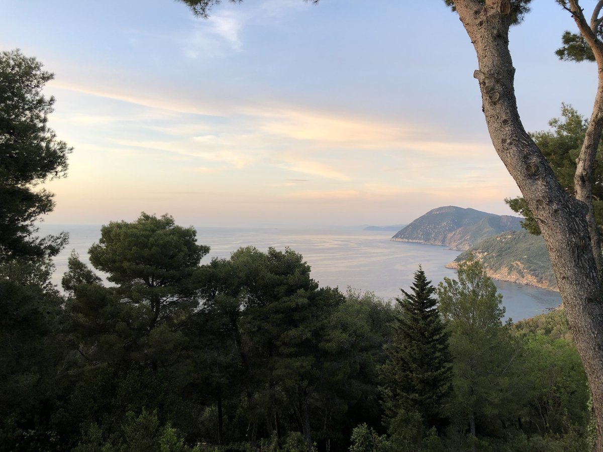 in_elba's tweet photo. VIVERE su un’#ISOLA è differente perché ogni tuo respiro è accompagnato da paesaggi, scorci e tramonti meravigliosi che illuminano le tue giornate Il suo nome? ELBA, l’Isola dell’#Amore per eccellenza 🌴#Wedding #Holiday #Dream #IsoladElba #Tuscany #WeddingInElba #Love #Tramonti https://t.co/JSy46ghX29