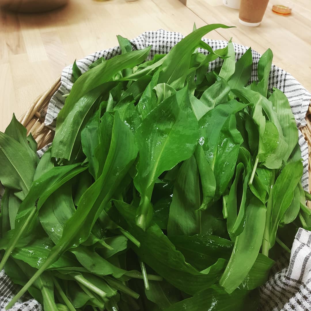 thoughtfulbread's tweet photo. All set for a special bakery course today. It's all about Wild Garlic baby!
And we've also unwrapped our new army of @kenwoodworld mixers. These bad boys are π
#realbread #bakerycourse #wildgarlic #babka #pesto #foccacia #bakeryschool https://t.co/jxhISG81Yc