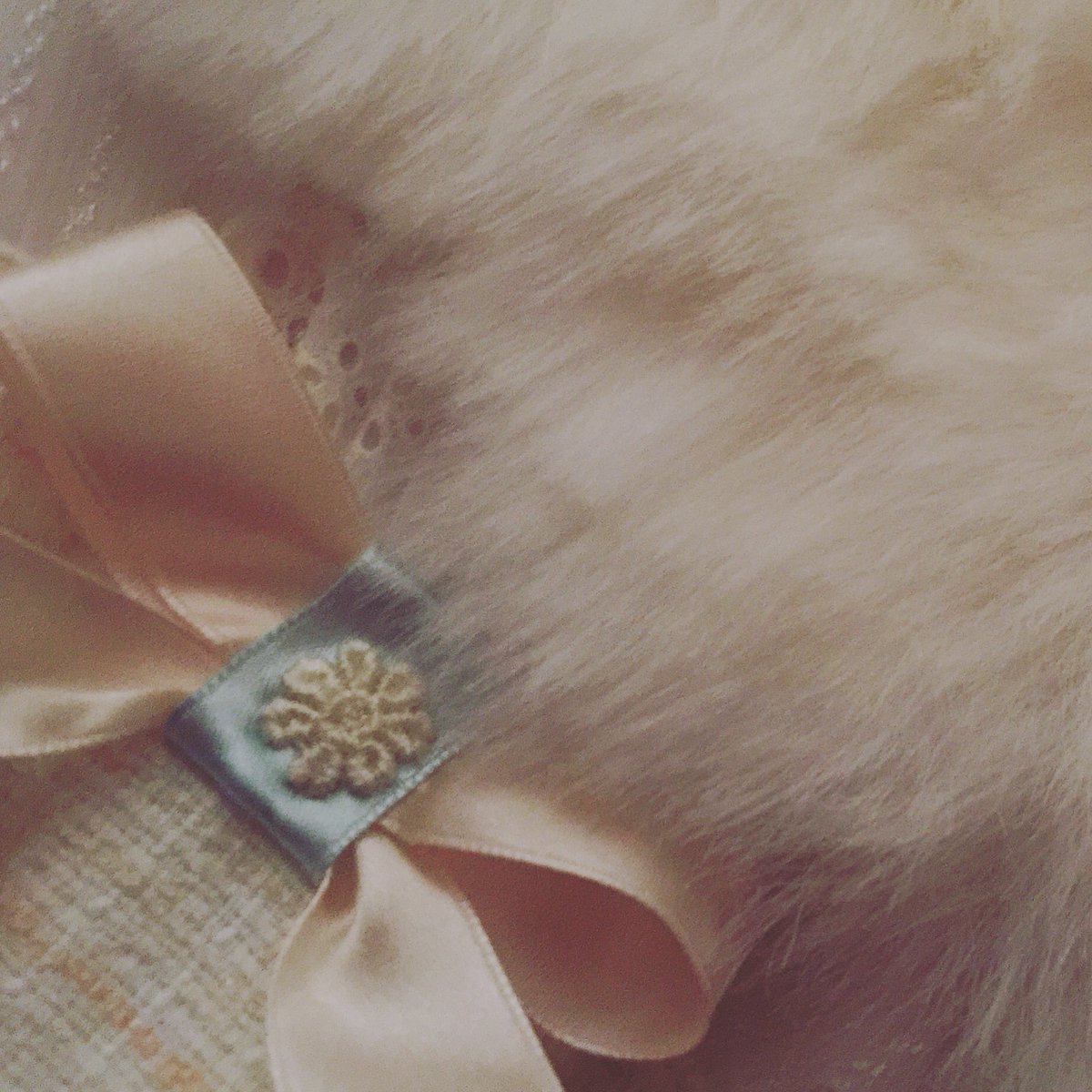EWatto_Design's tweet photo. Sweet dreams
#おやすみなさい
Hyvää yötä

#ファッション #フォロー 
#アーティスト #コレクション 
#デザイン画 # #りっぽん 
#デザイナー #服飾 #花 
#ファッションデザイン #ソフト 
#ファッションデザイナー #かわいい 
#デザイン #fashiondesign #designer #design #eewedesign #soft https://t.co/Nqki6lDFAl
