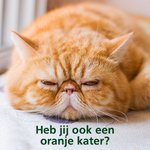 Photo by Welkoop (@Welkoop)