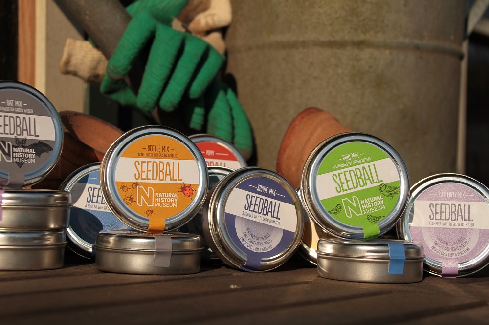 So many choices, but you can't go wrong! All will bring diversity, colour and a few extra visitors to the garden!

Are you scattering your seed balls this weekend? 

#wildlifegarden #wildflowerwarrior