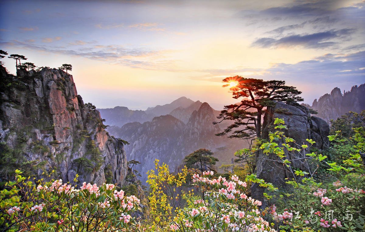 YinxiangOne tweet picture