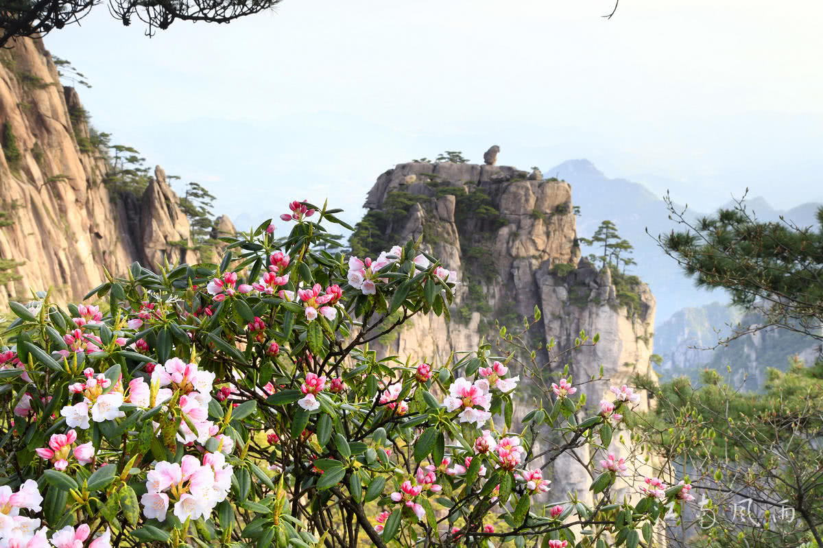 YinxiangOne tweet picture