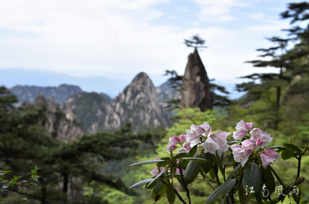 YinxiangOne tweet picture