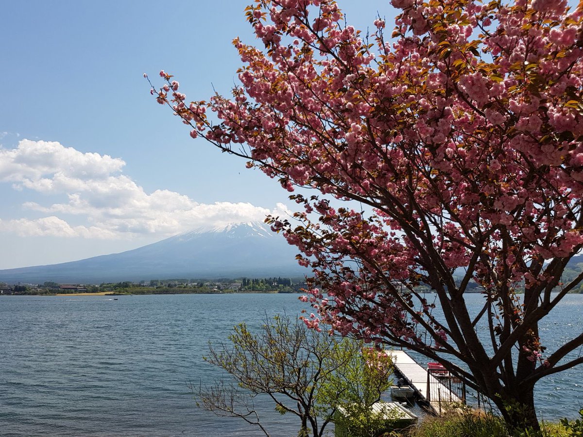 DrAmalinaBakri's tweet photo. Fuji - so pweeeeettyyyyy 😍😍😍😍 🇯🇵 https://t.co/H5CwACIYj8