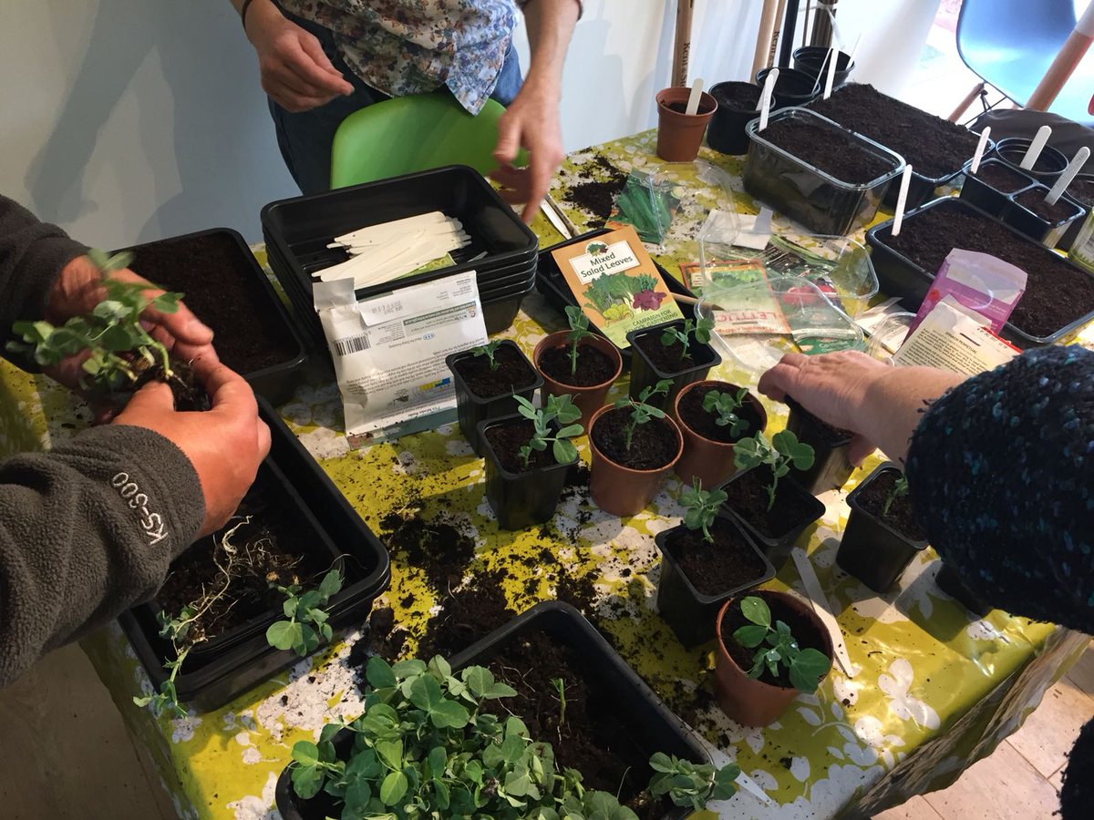 Up skilling communities with @FOHC_Bristol. If you're a Bristolian keep an eye out for a new family gardening club @TheArdagh. #communitytraining #familygardening #sharingskills #learntogrowyourown