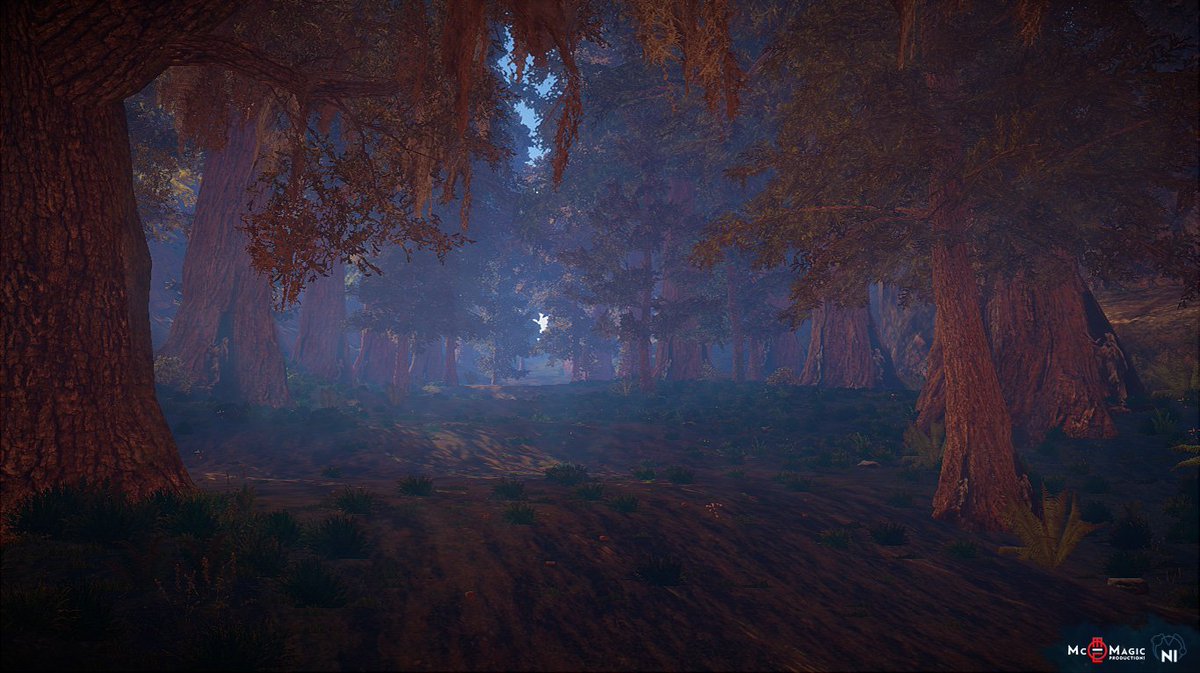 Novus Inceptio tweet media