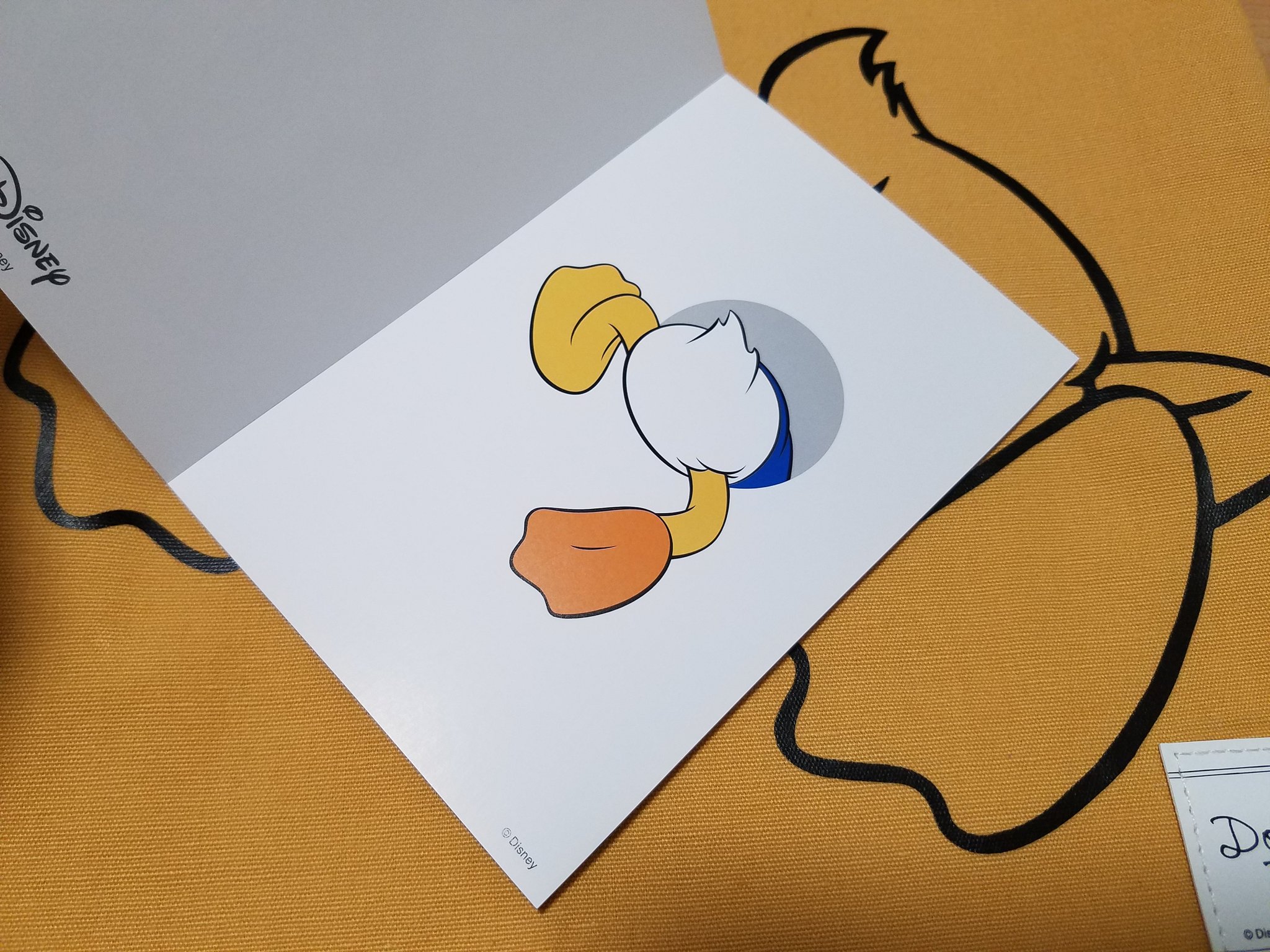 Kiho グリムの子分 このポストカードブックがオススメすぎます 枚入りで 全てドナルド 1枚目だけミッキーさんがいます あと殆どが怒ってるドナルドで ちょっとお尻です かわいいです T Co M0k09b1gnj Twitter