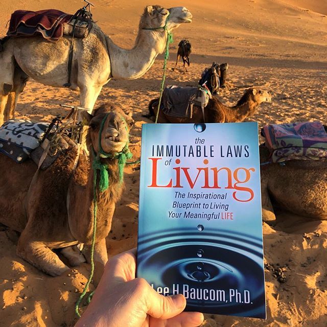 thriveology's tweet photo. My new book, The Immutable Laws of Living, made it to the Sahara Desert with me. Have your copy yet? It’s available now! See bio for link. https://t.co/8evvMdilUo https://t.co/NxqMqRfe5u