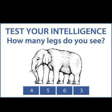 MetaFunGames's tweet image. OK, let&apos;s see who can find the most legs!😎