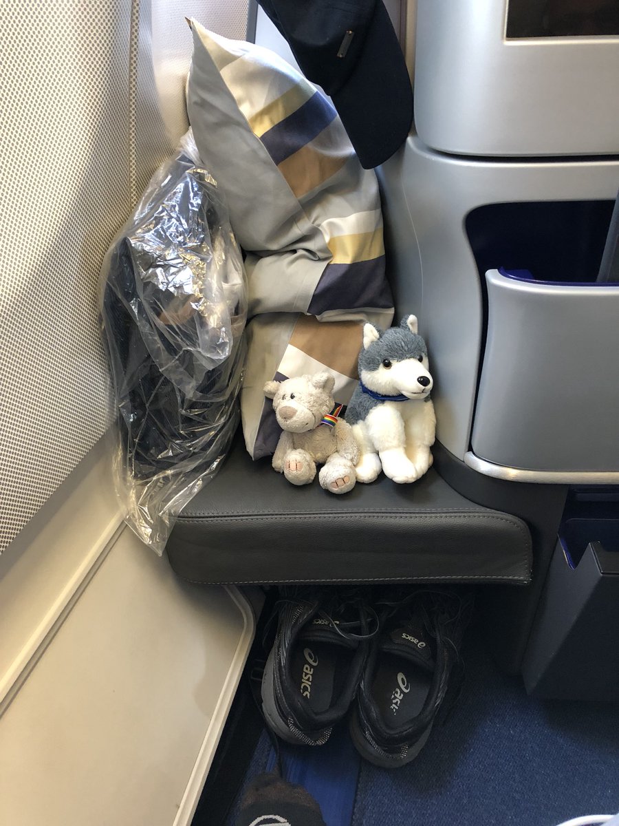 J_R_MUC's tweet photo. #blindpassenger ... #LittleRomeo @IBAevents #IBARome https://t.co/lPB2ndaDv6