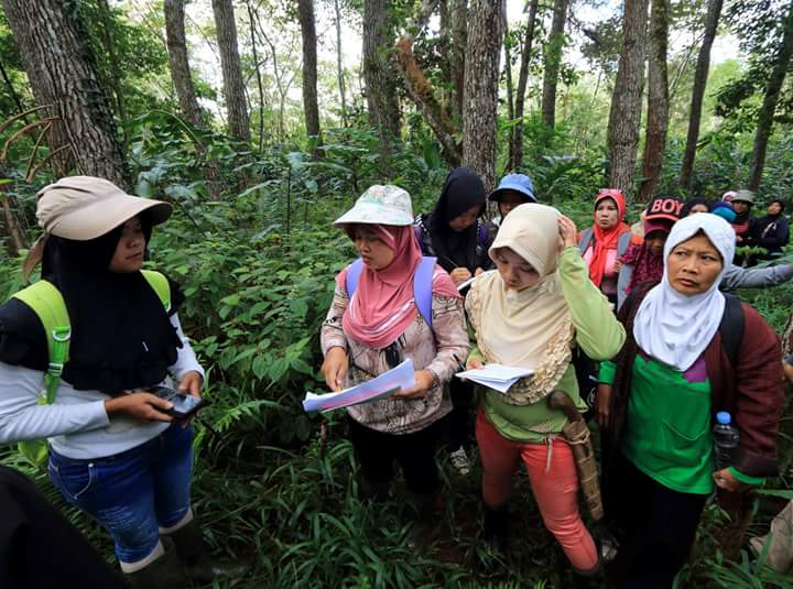 dedek_hendry's tweet photo. Participatory Mapping, Women's Rights, Kerinci Seblat National Park/World Heritage, Wildfood 
Photos: @ichandgmc https://t.co/MbGpdkMMC3