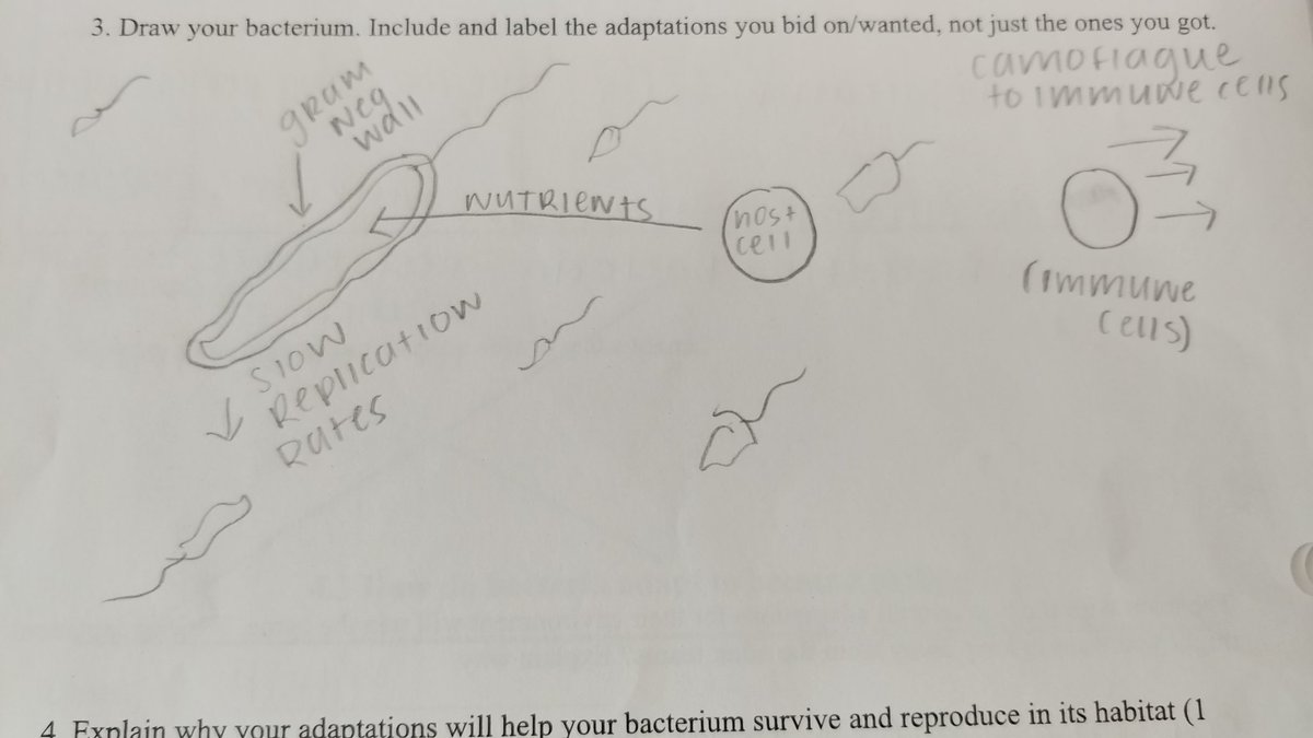 FessMHS's tweet photo. Little bit of artwork from Infectious Disease class 😁 https://t.co/0RO1eEHHRO