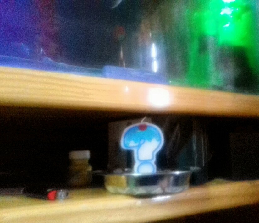 GreiserGre's tweet image. ¡feliz, feliz no cumpleaños!, a tí, a tú, a mí! 🎂🎈🎉🎉🎶🐱🔛🔝⏳🌠🕟