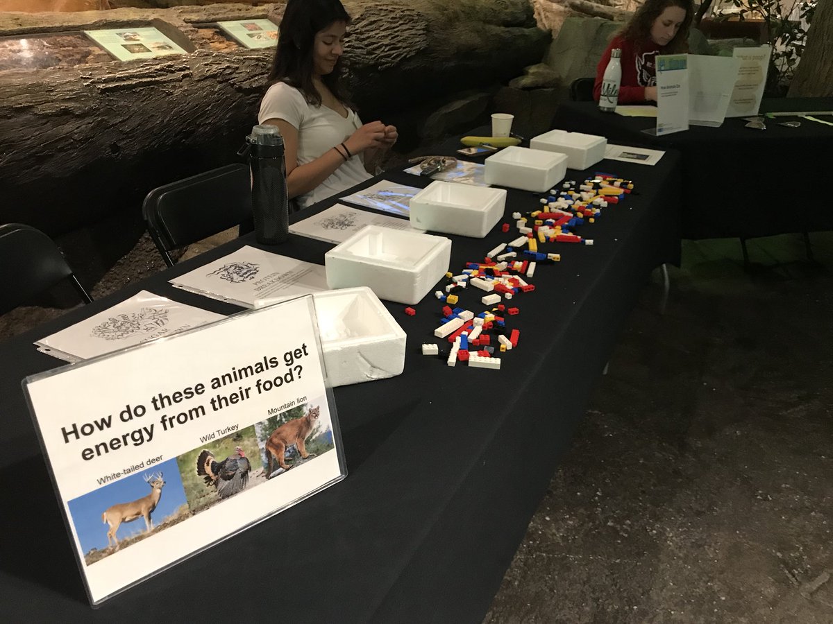 RachaelSHall's tweet photo. Come hang out with @ncsu_scicomm at #TriSciTech today at @naturalsciences!! With @_jessiemarieg @aquatic_ecotox and @caro_leit for the morning shift :D https://t.co/2ENDfiO3ig