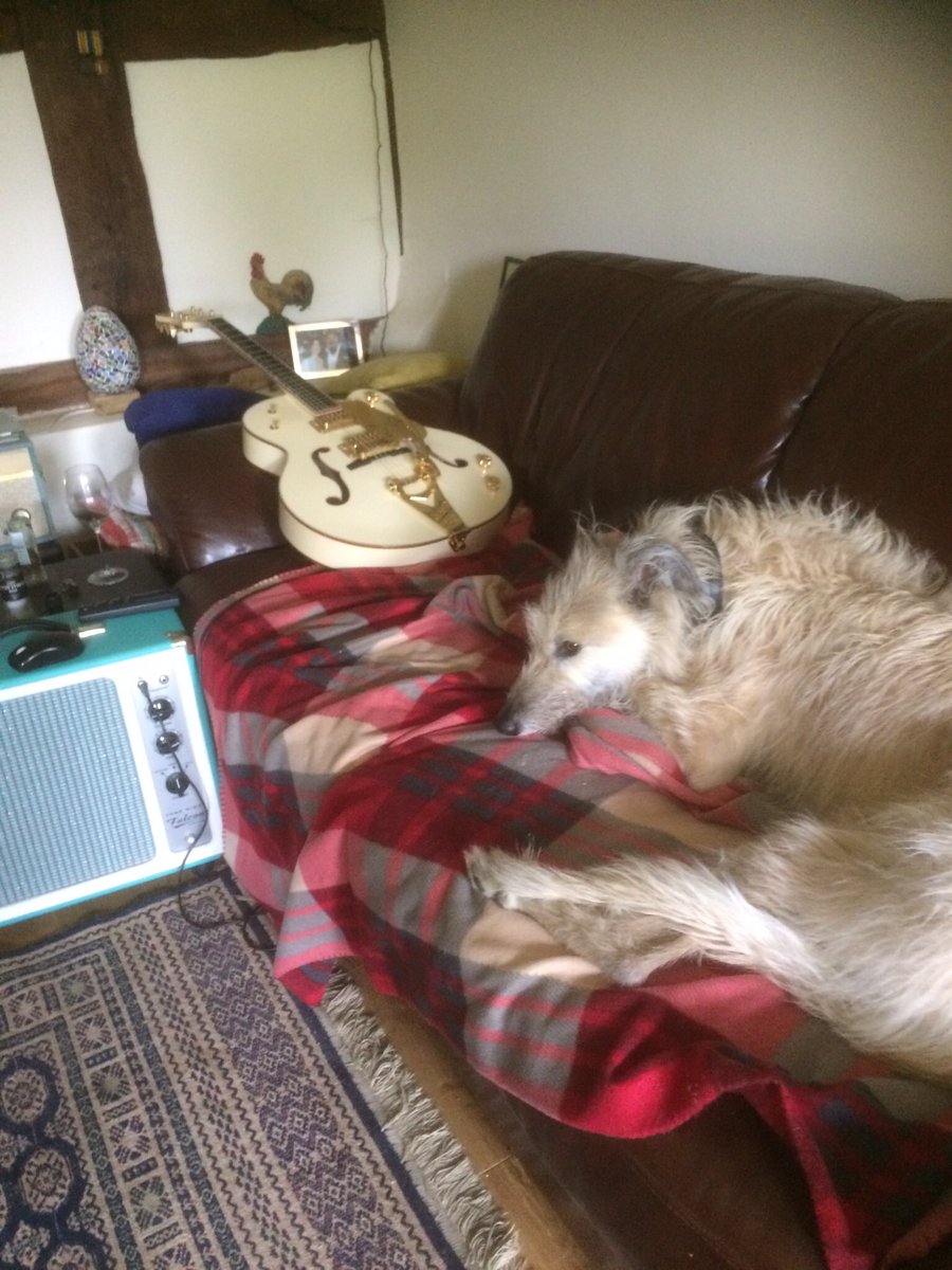 RevFerriday's tweet image. Rockin out with The Longdog’s tonight @The Royal Oak, Marlborough 9.00pm