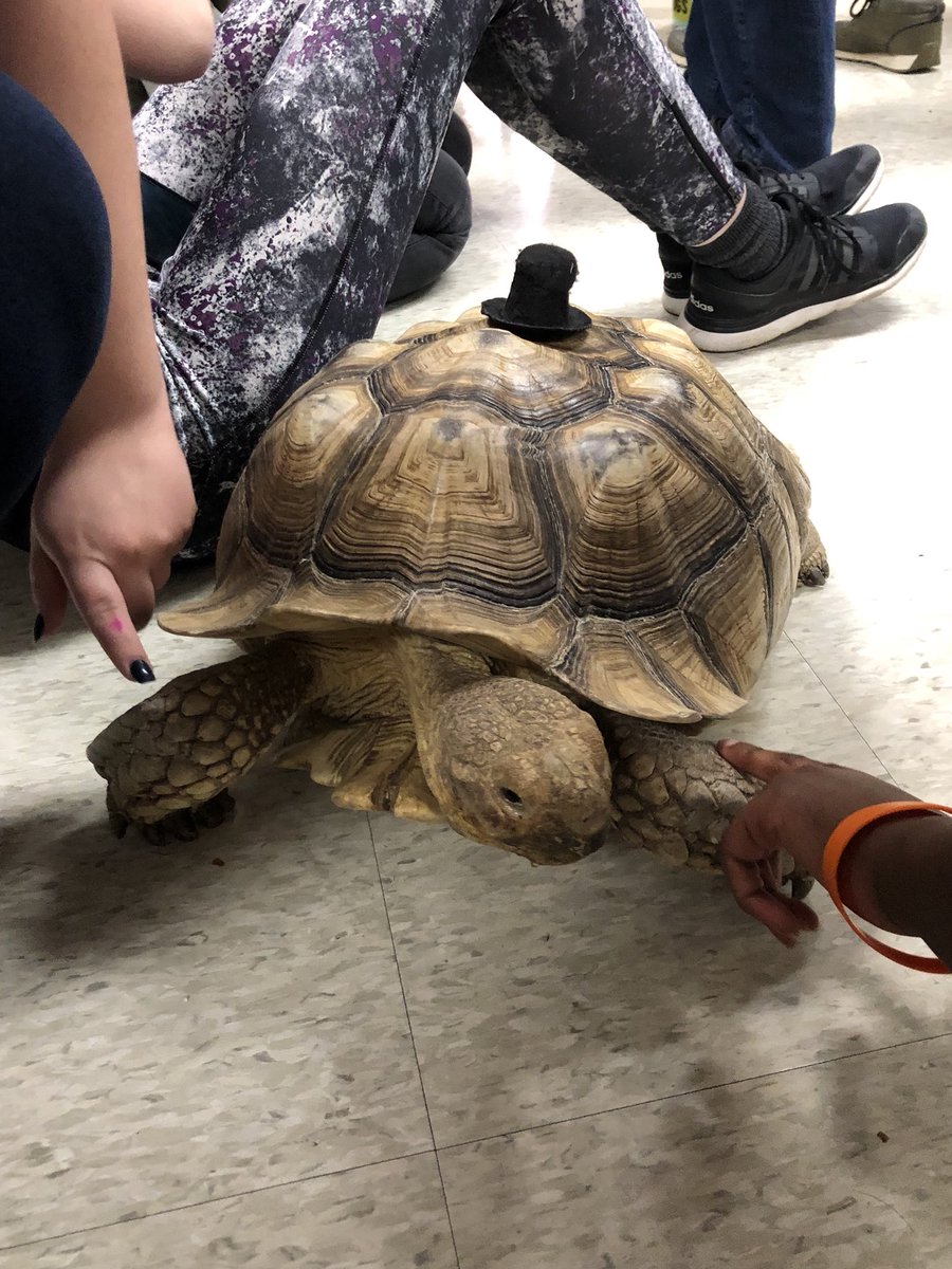 GCHSenviro's tweet photo. Highlights of the Frog Lady presentation (4/24)! It was a huge success and we even got to make some new friends! We hope to do this again in the future. https://t.co/fdpu4Ego2U