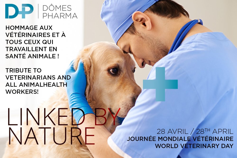 DomesPharma's tweet photo. Célébrons aujourd'hui les #vétérinaires et tous ceux qui travaillent en #santéanimale / Let’s celebrate today the #Veterinary Profession and all #animalhealth workers #WorldVeterinaryDay #WVD2018 #onehealth #linkedbynature https://t.co/00CaKVjozO