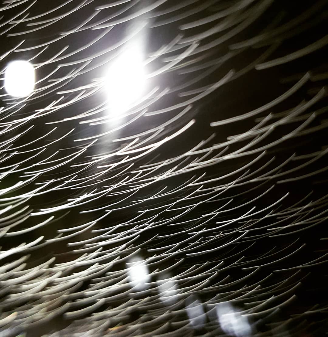 ilisimhi's tweet photo. My last photos. 
#streetphotography #photooftheday #MiamiBeach #miamiart #Miaminights #cityofmiami #CityOfStars #artistsontwitter https://t.co/FCU7TkLbSf