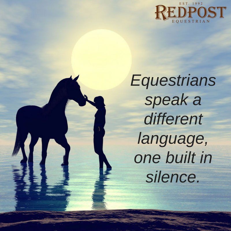 RedpostEq's tweet photo. ...Beautiful words, don't you think? ❤️🐴 #redposteq #quote #quoteoftheday https://t.co/WocvDxlpdr