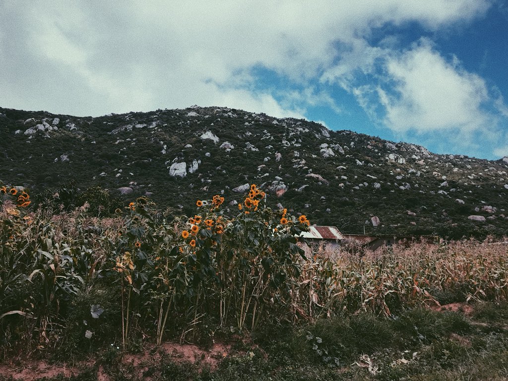 iDreamfoto's tweet photo. The Beauty Of Iringa
#ShotoniPhone #VscoX https://t.co/DUMlG6Zepo