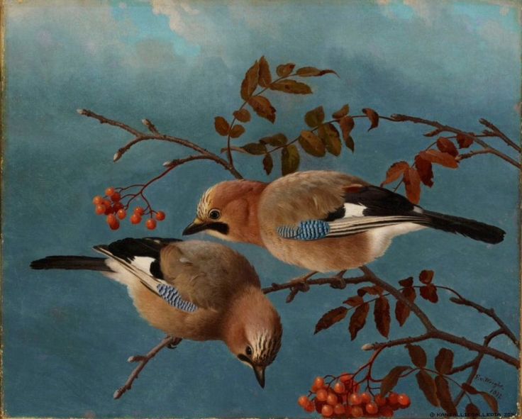 LunaLeso's tweet photo. @evaradiochina @1Atsuhimerose2 @AhmetDuranHergn @marialves53 @lagatta4739 @anthony77631293 @malemalefica @scastaldi9 @javiango @Amyperuana @ceconomou56 @Maria32238606 @MaurilioVitto @ars_omnis @rosellima46 @guwurzburger @albertopetro2 @semicvet50 @NadiaZanelli1 @bmarczewska @BrindusaB1 @barrywyman2356 @claudioborlotto @BPerrionni @Spiros209 @monica74761144 @EnricoCastrovil @cecilia_fava @maluisa_3 @dianadep1 @Clanlupi @agustin_gut @JaoreroR @Sashainua @Papryka5 @Xv4jdAJMm8iQbQJ @henrirouen @mariaireneali @Choco_Sandy1 @ARTeSELEZIONE @GiardinoPietro @mmayr5 @twicolombotter @FelixArtItaly @emanuelaneri14 @BaroneZaza70 @piotr408 @sergey_silkin @pure_p4 TY Eva🌸
#SpringOnMyMind
🎨Ferdinand von Wright - Jays https://t.co/Xzq0Qh8v7z