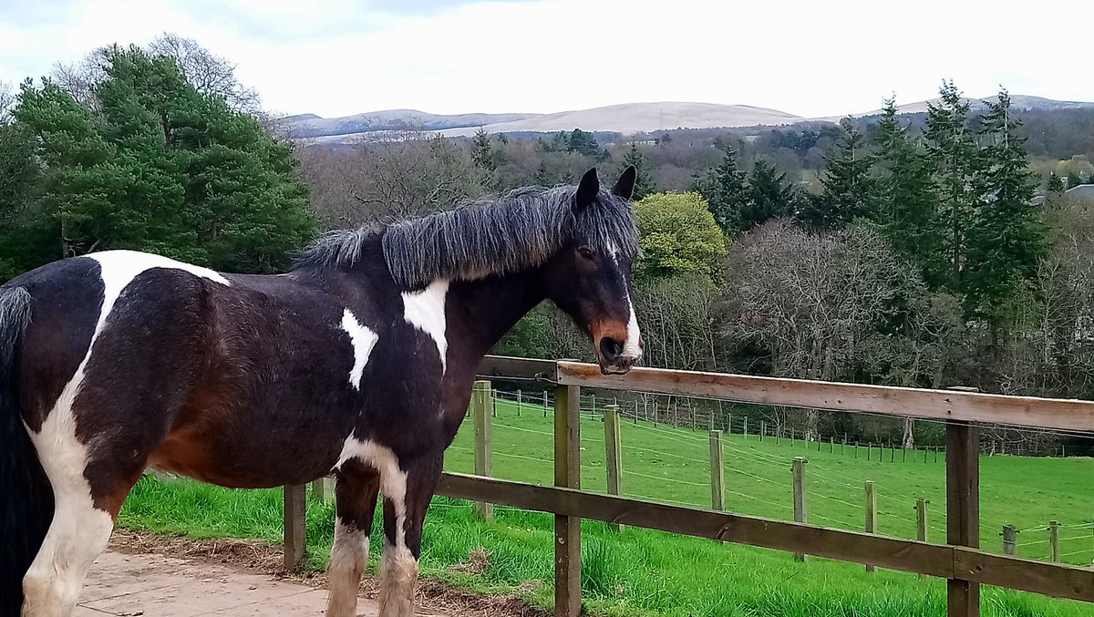 We're in the current issue of the Currie &amp; Balerno News, have you bought your copy?