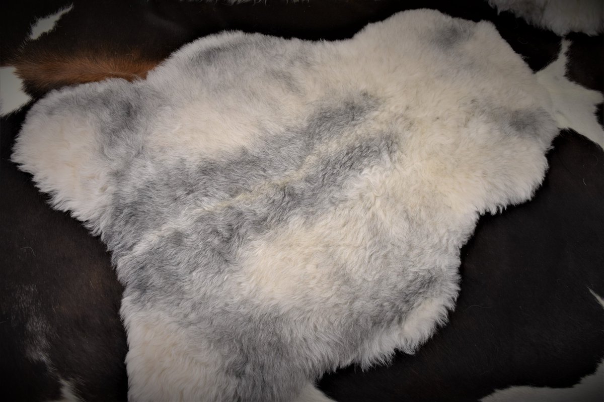 Ambleside_Sheep's tweet photo. @Ambleside_Sheep #Herdwick #Sheepskin #Ambleside #Cumbria #Lakedistrict. https://t.co/9roDxLx5xz https://t.co/6JmeymyyFl