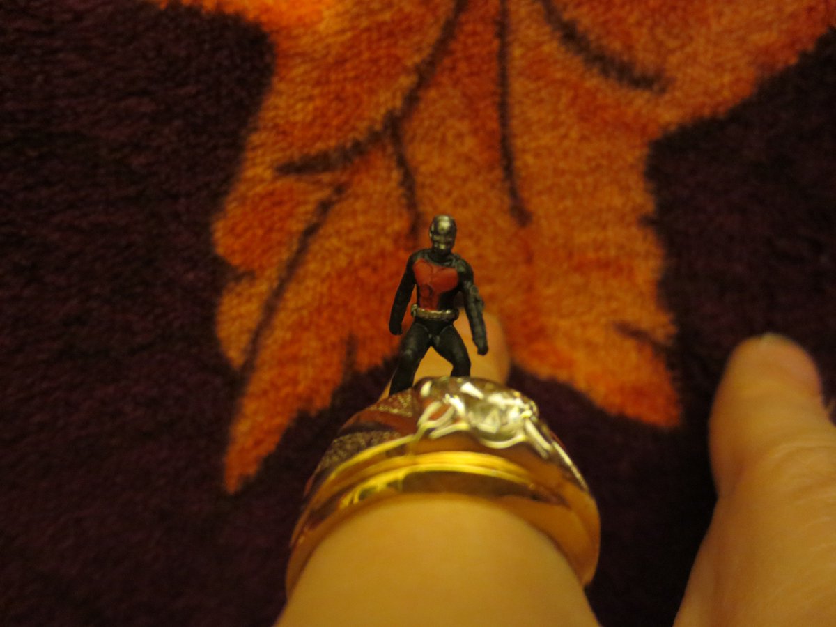 JohnnyEAwesome's tweet photo. #SaturdayMotivation โฎ๏ธ๐ฑ #UnpopularCondiments #AntMan #Rings https://t.co/Ixa7sHADB3