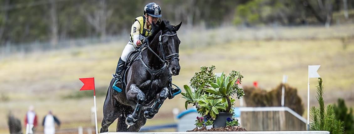 EquestrianAus's tweet photo. EVENTING | On day two of the 2018 @SydneyEventing Victorian rider Amanda Ross and Koko Popping Candy maintain their lead in the CIC3* after completing the cross-country in 10min 14 sec (32.80 penalties). Read full story on https://t.co/g9Kvtm4JsL 📷Stephen Mowbray #SydHT https://t.co/DhmizdYgQj