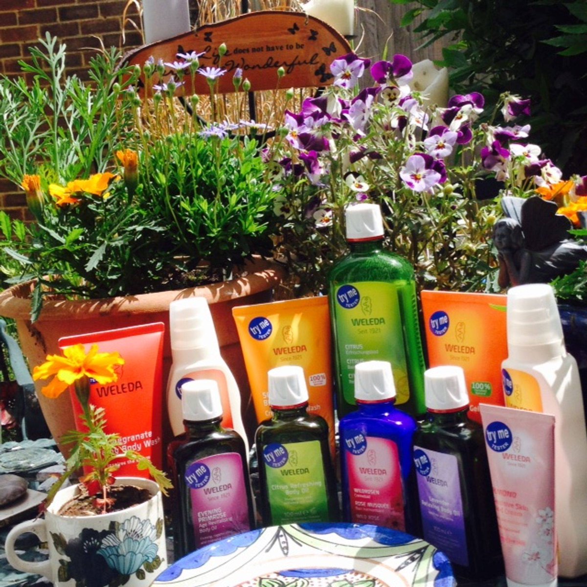 Seedy Sunday EB tweet media